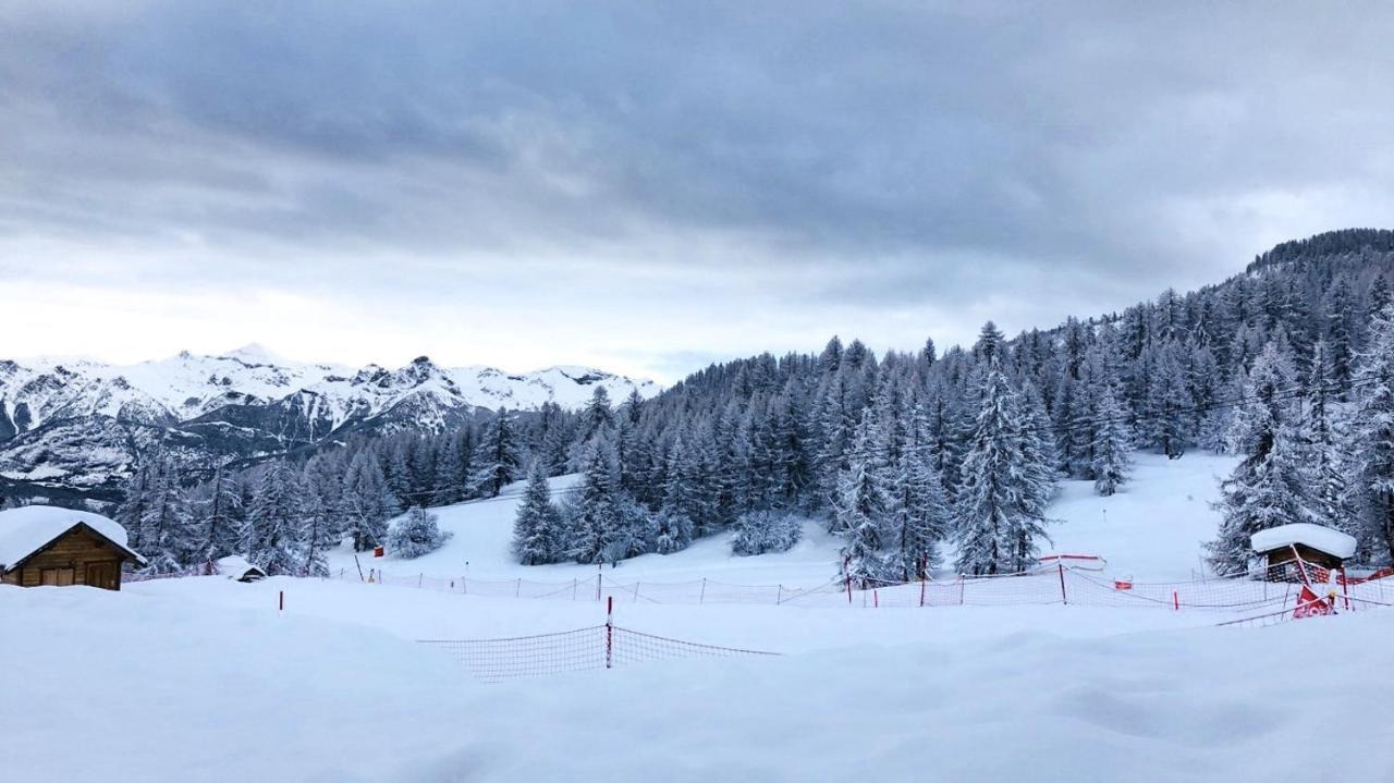 Les Chalets Du Parc Aux Etoiles - Cimes Et Neige Puy-Saint-Vincent Exterior foto